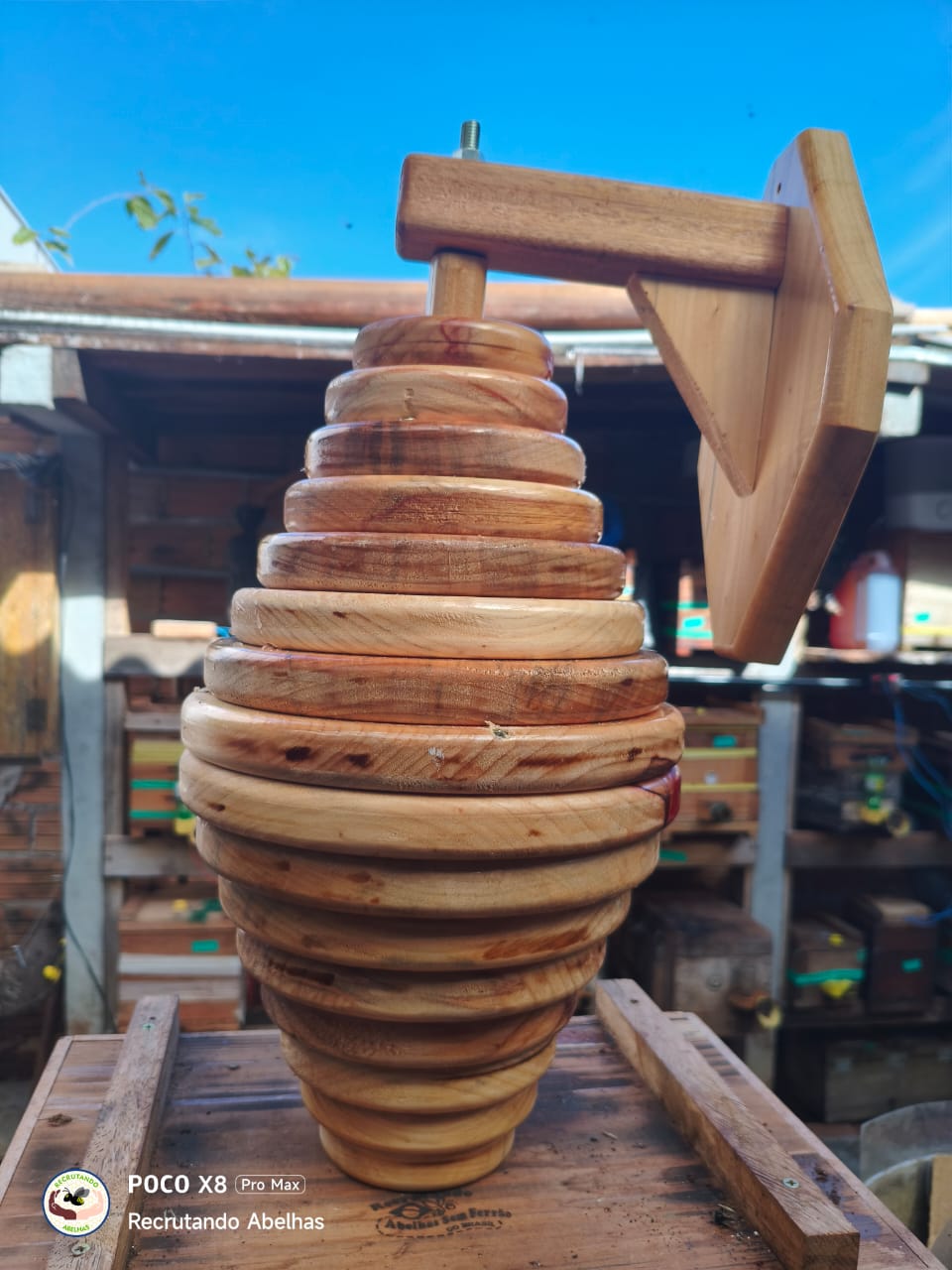 🐝 ZÉ COLMEIA ORNAMENTAL – EDIÇÃO JARDIM
